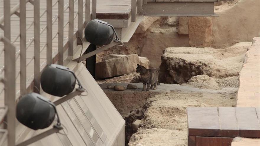 El consistorio no ve riesgo de tiña en el Teatro Romano