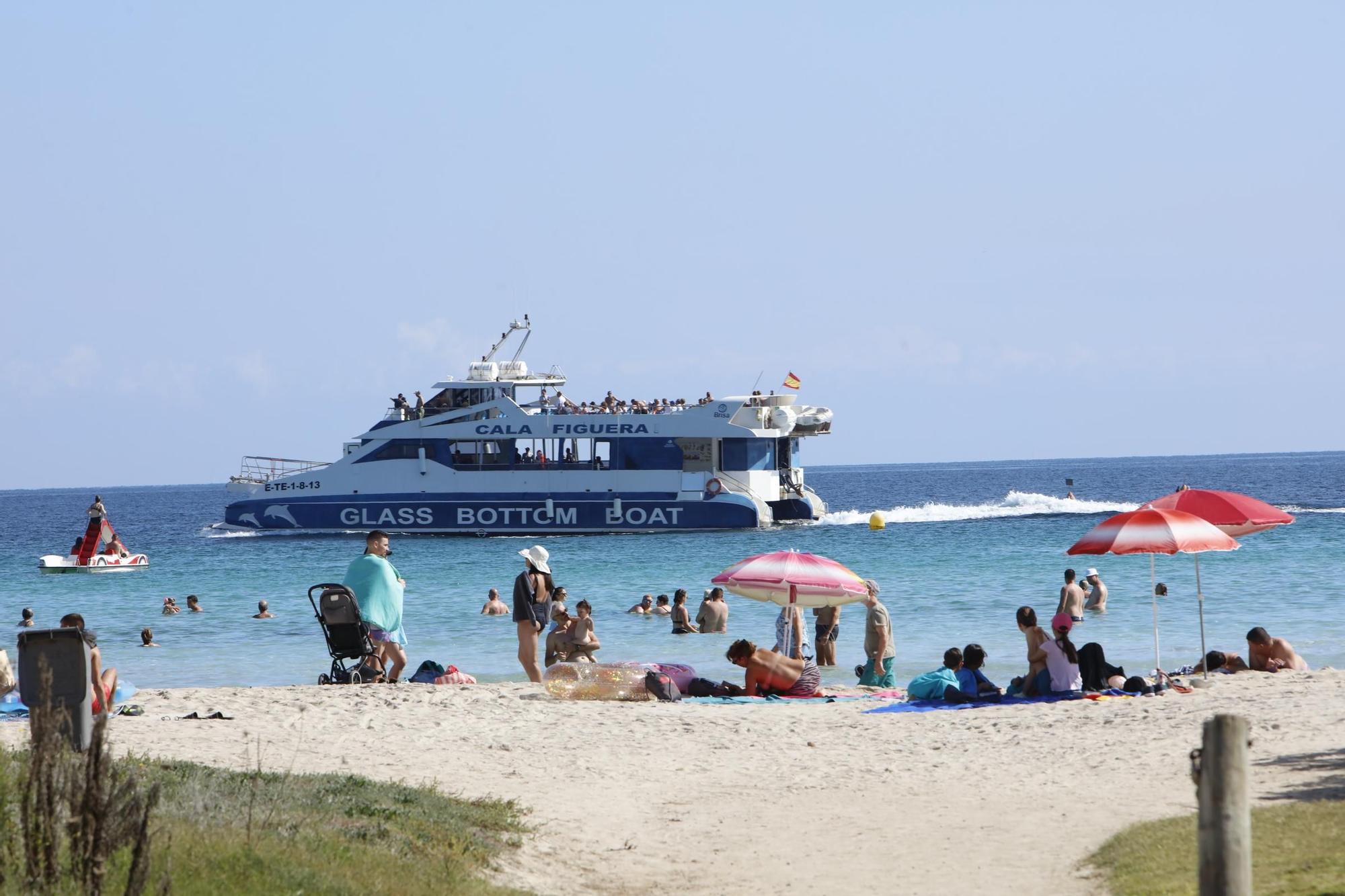 Sommer-Urlaub im Oktober: So sieht es derzeit am Strand von Alcúdia auf Mallorca aus