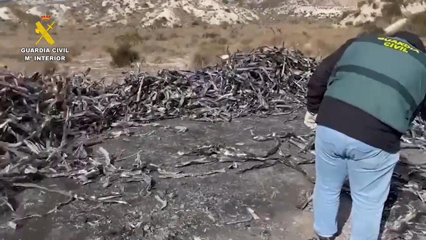 Desmantelado un grupo delictivo que sustraía cableado de cobre en Murcia, Alicante y Albacete