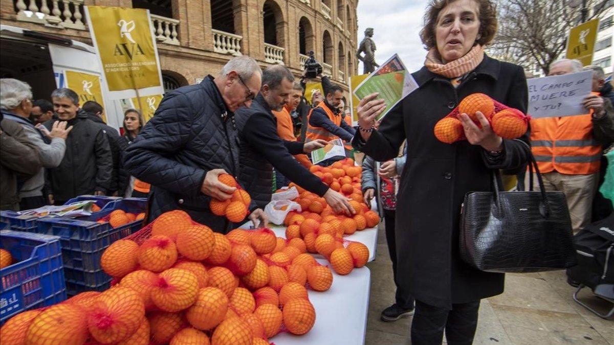 zentauroepp46960804 protesta naranjas190214131711