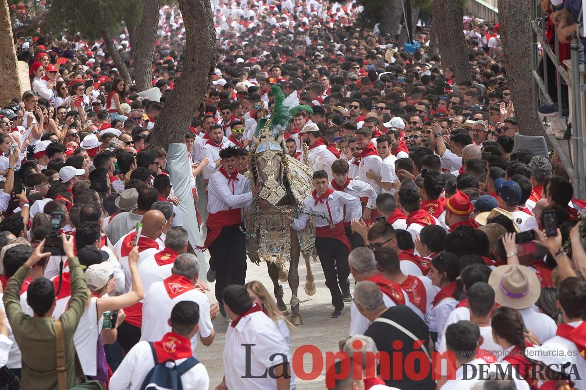 Así ha sido la carrera de los Caballos del Vino en Caravaca