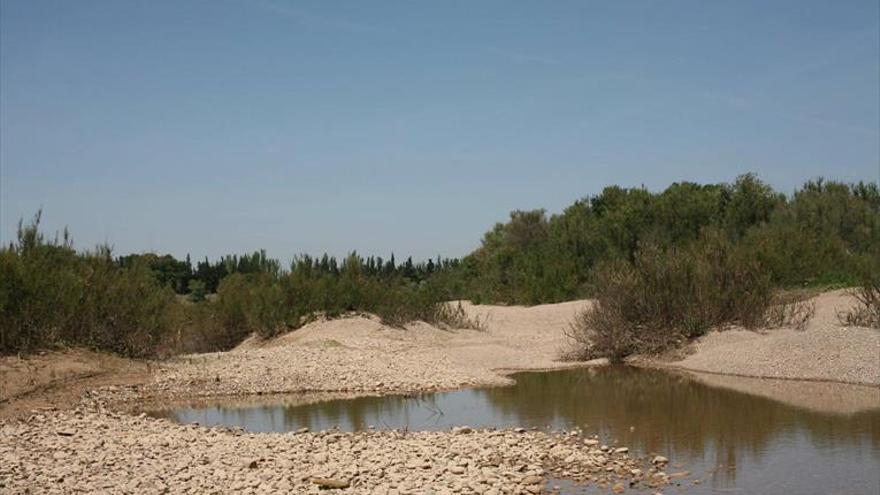 ‘Un descampado en la ribera del Ebro’