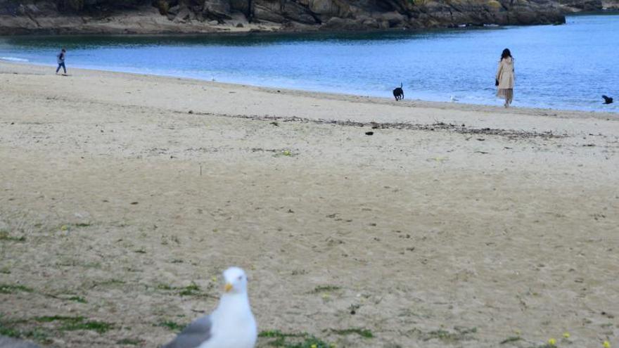 Un descanso para as praias