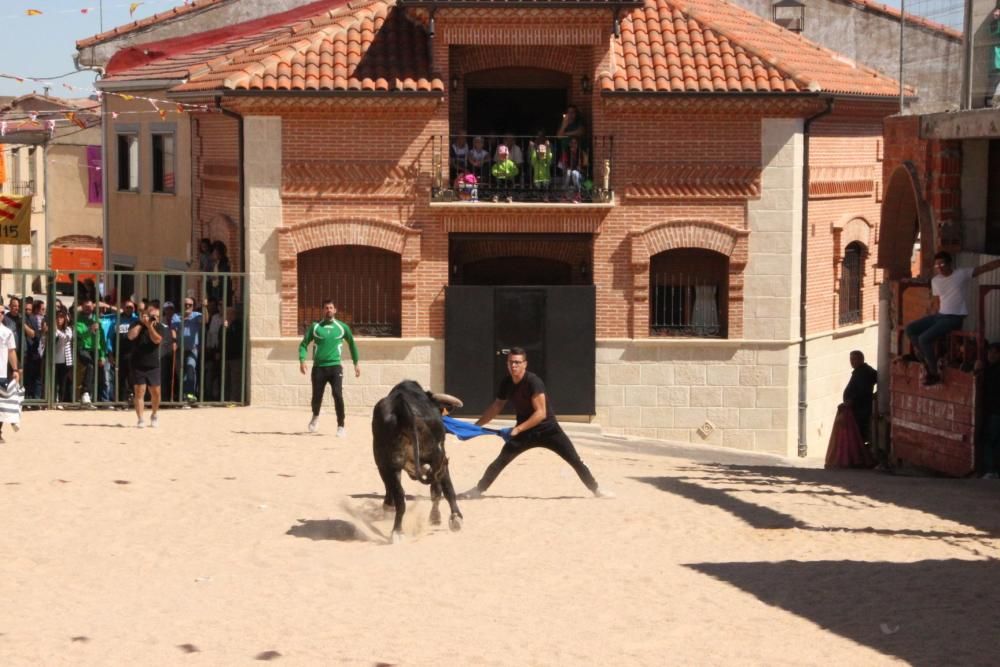 Encierro en Cañizal.