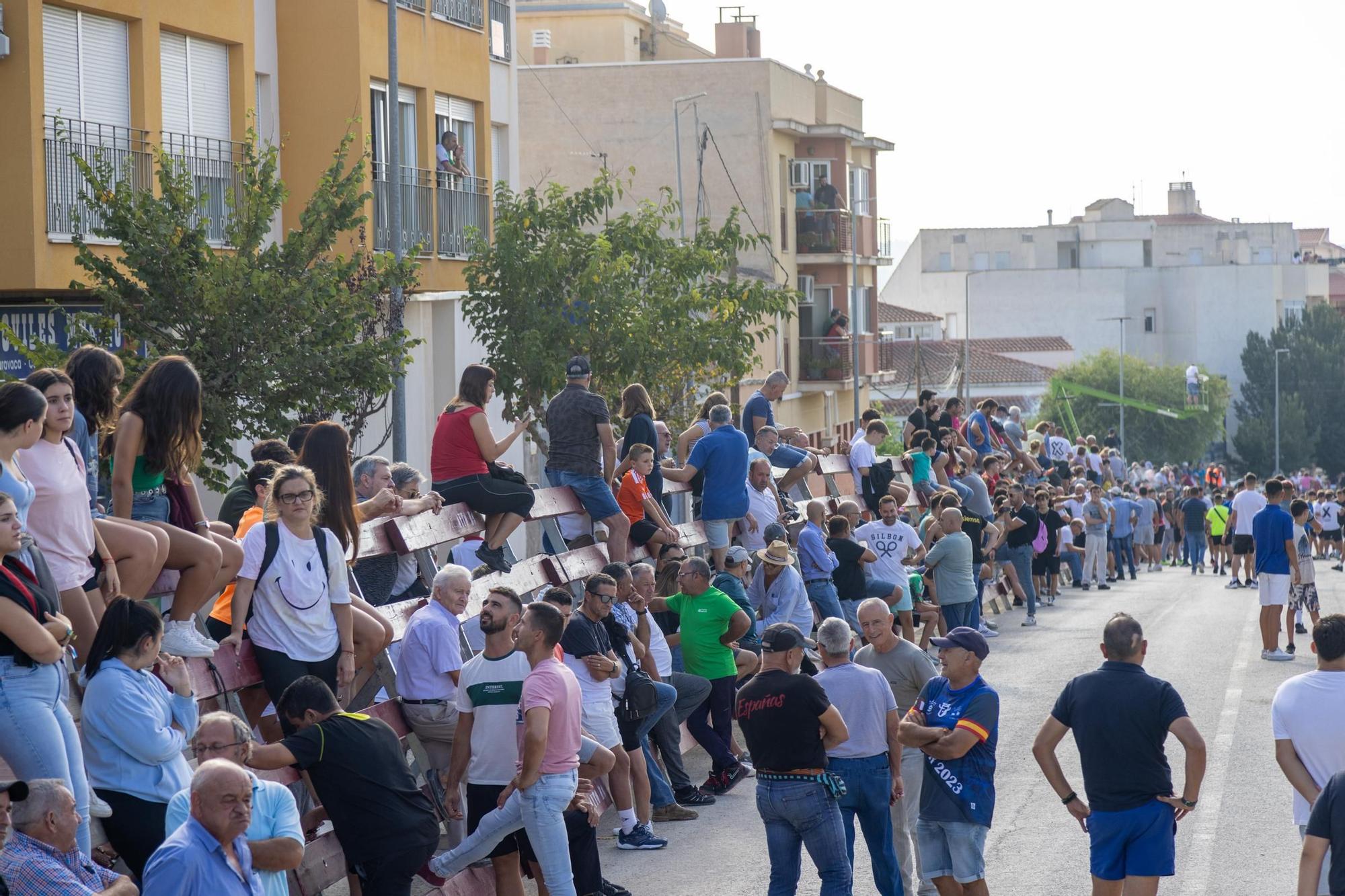 Cuarto encierro de la Feria Taurina del Arroz en Calasparra