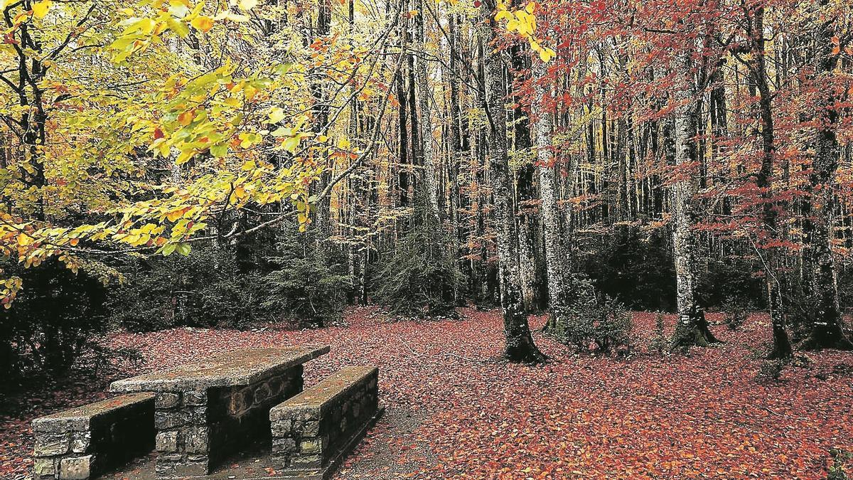 Paisaje típicamente otoñal en el paraje de Mata de Haya, en Belagua (Navarra).