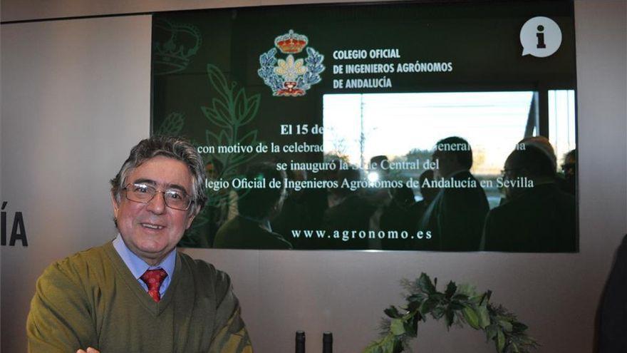 Daniel Pizarro, delegado provincial del Colegio Oficial de Ingenieros Agrónomos de Andalucía.