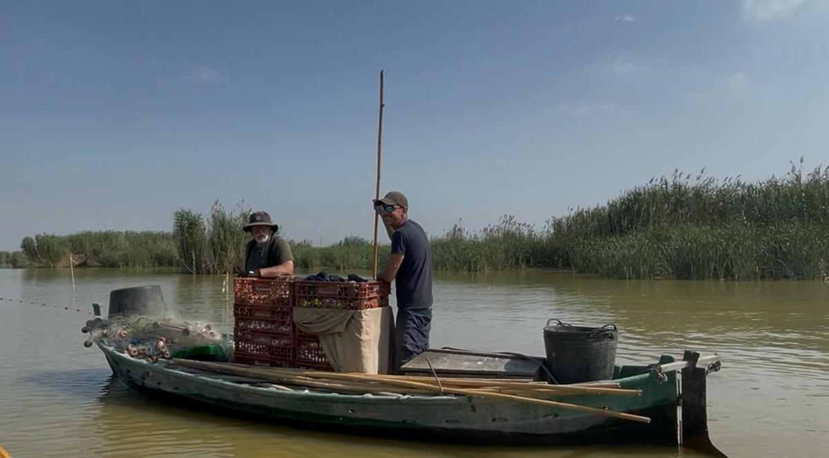 Archivo - Devesa-Albufera.