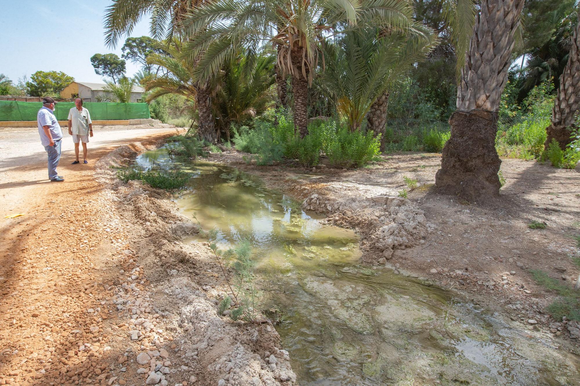 El agua de drenajes agrícolas con fertilizantes del Campo de Salinas desborda las fincas y llega a la laguna de Torrevieja