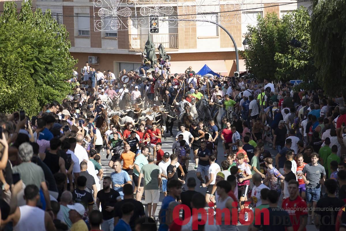 El segundo encierro de las Fiestas de Moratalla se salda con un herido