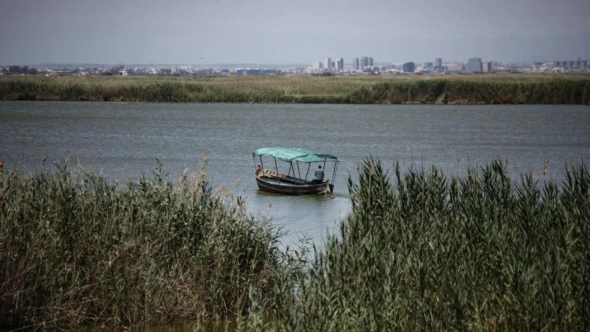 Una barca en las aguas del lago de la Albufera.