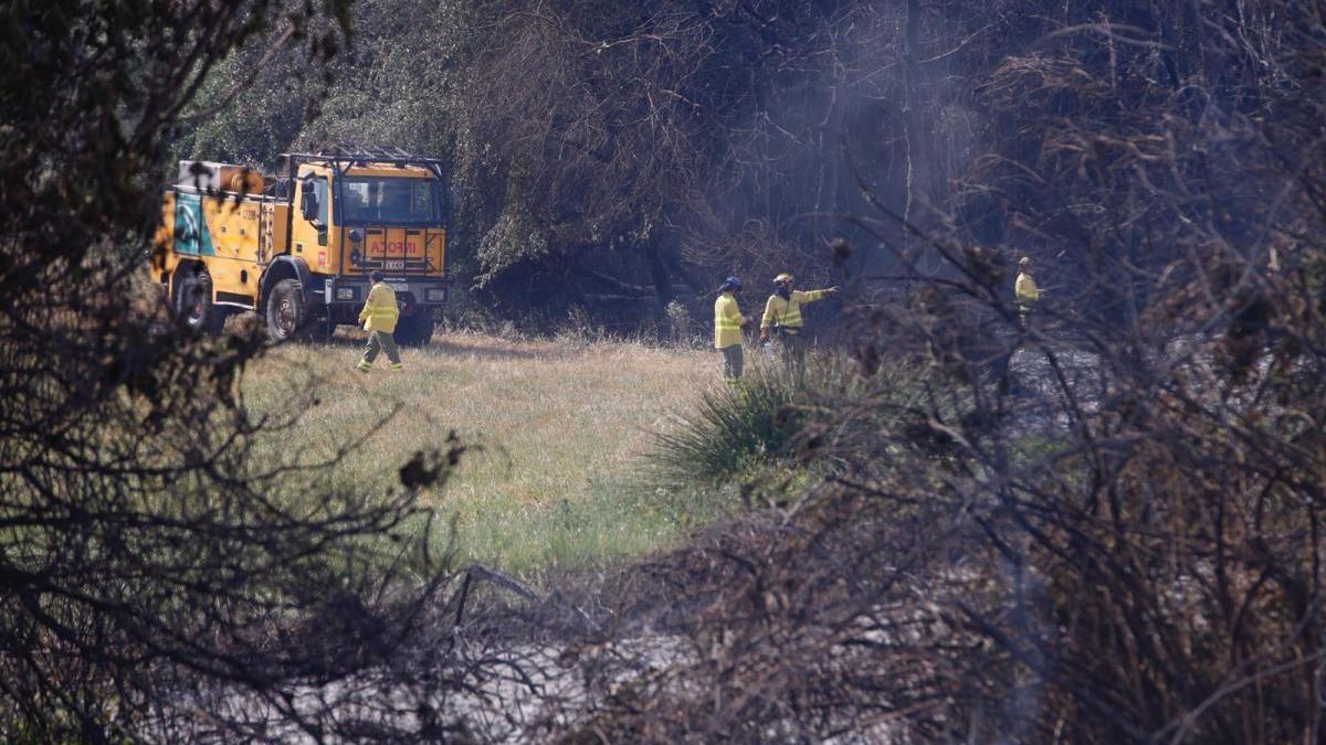 Extinguido el incendio de vegetación de ribera en la zona de La Campiñuela de Córdoba