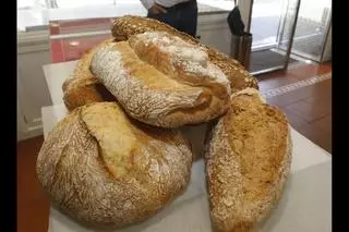 ¿Por qué el pan es mejor en Galicia que en el resto de España?
