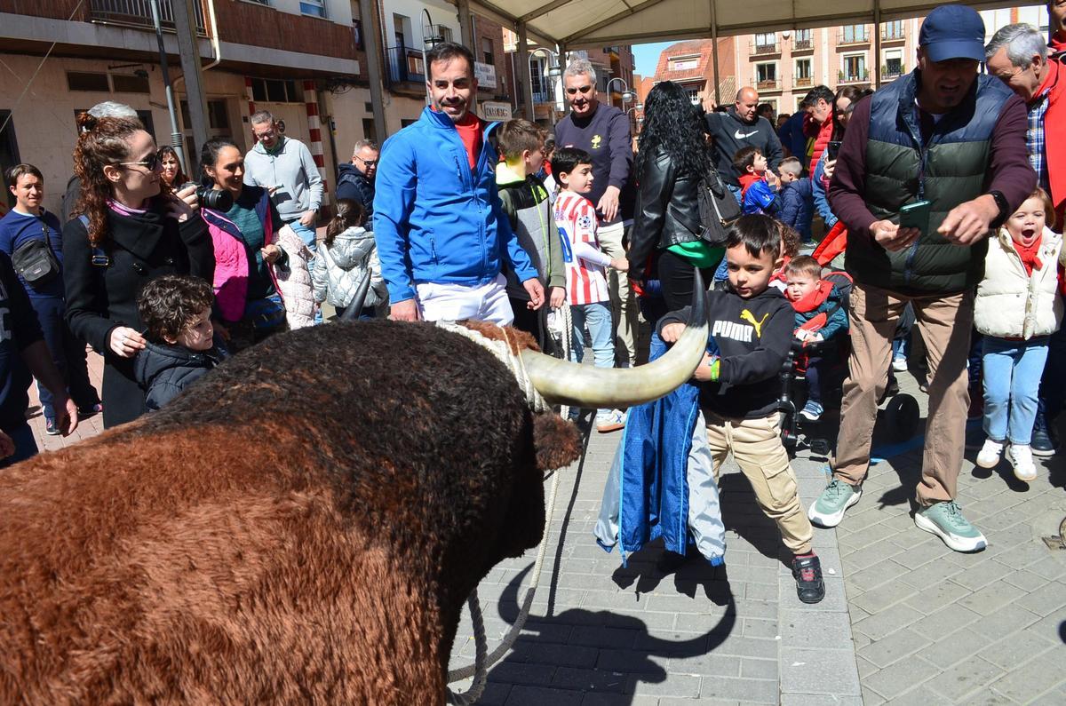 GALERÍA | Las Escuelas Taurinas de Gente del Toro, en imágenes