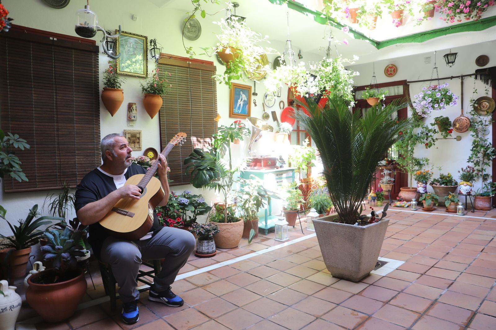 La Ruta 3 de los Patios de Córdoba, en imágenes