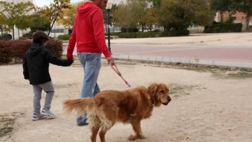 Un vecino de Ibi paseando a su perro por un parque municipal en una imagen de archivo.