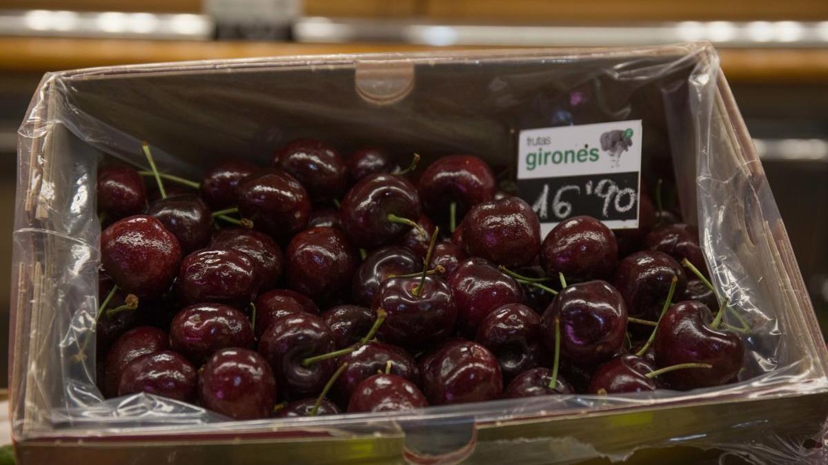 Los agricultores piden al Gobierno que flexibilce las condiciones de transporte de los temporeros al campo