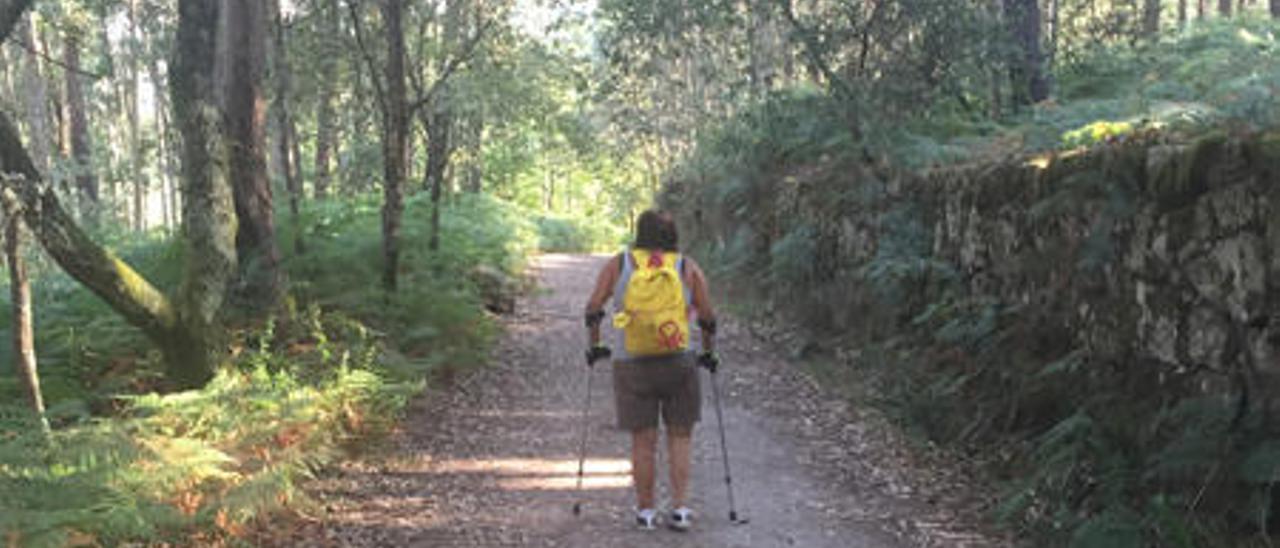 La paiportina durante el camino.