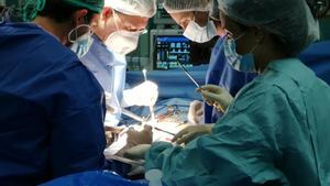 Catalunya augmenta en un 27% els trasplantaments d’òrgans i bat tots els seus rècords