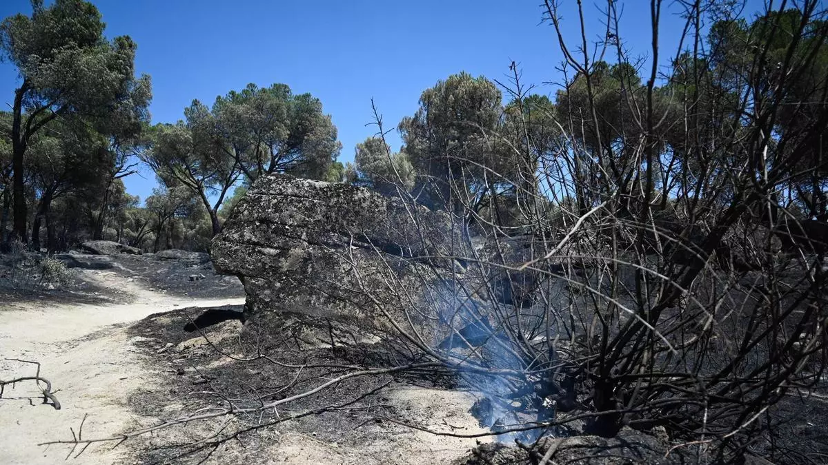 Casi 50 medios trabajan en el remate del incendio Sierra Oeste de Madrid, que ayer tuvo una reproducción en el pantano