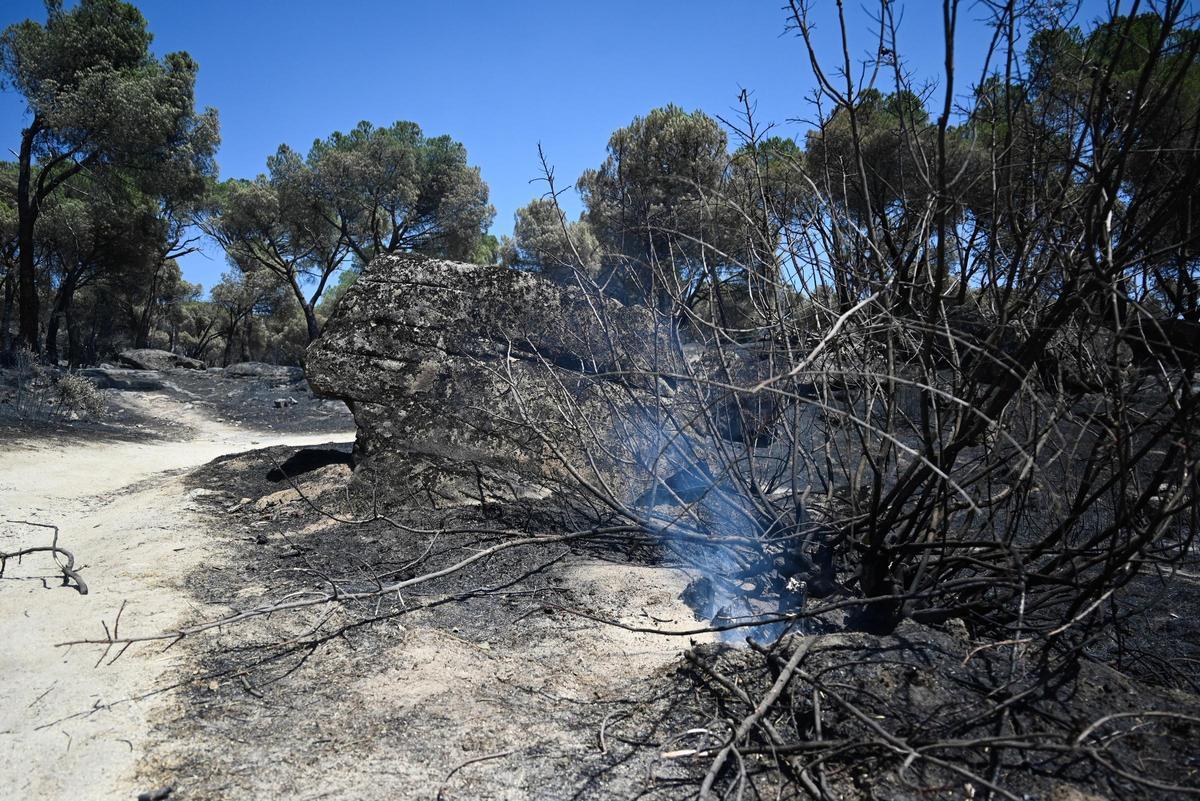 Zonas calcinadas tras el paso del incendio de la Sierra Oeste de Madrid, a 30 de julio de 2026, en Pelayos de la Presa, Madrid (España). La Comunidad de Madrid ha recuperado el control del operativo contra el incendio forestal de la Sierra Oeste, que ya n