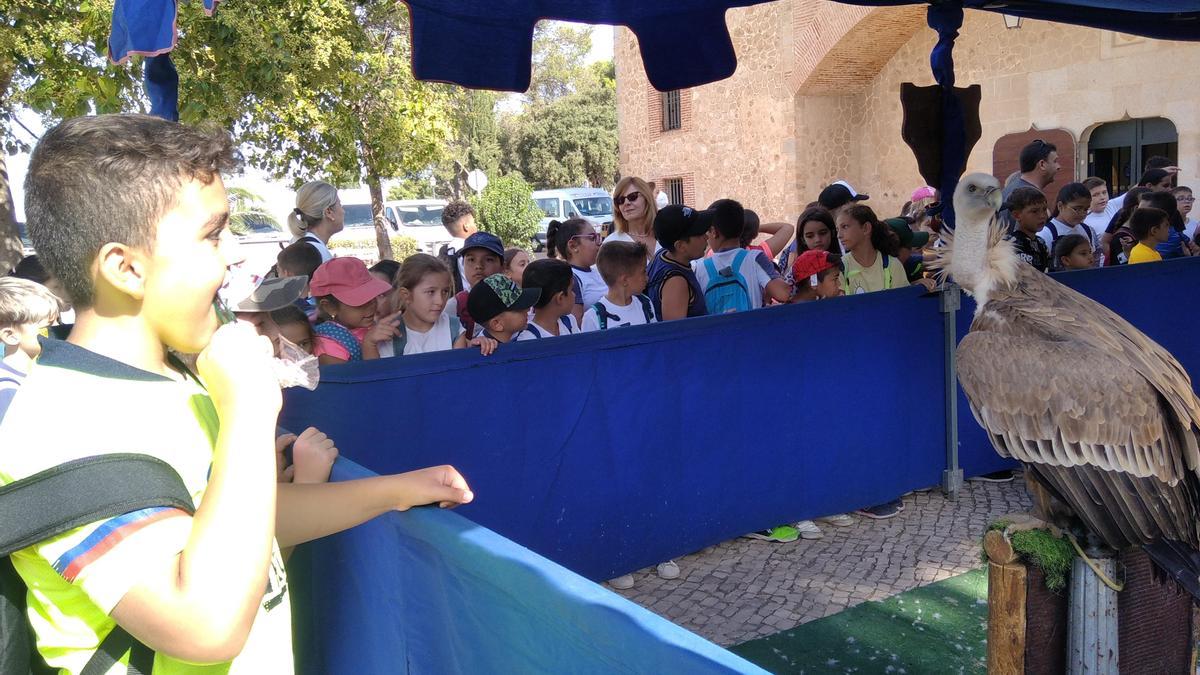 Alumnos de Nuestra Señora de la Asunción observan las aves rapaces.