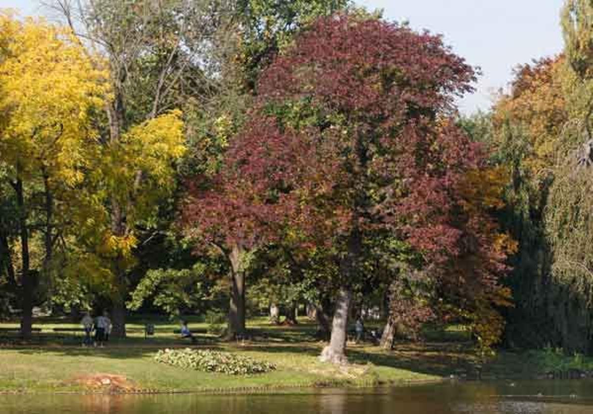 Parque Real Lazienki en otoño.