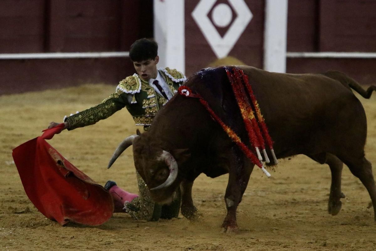 Novillada inaugural de la Feria Taurina