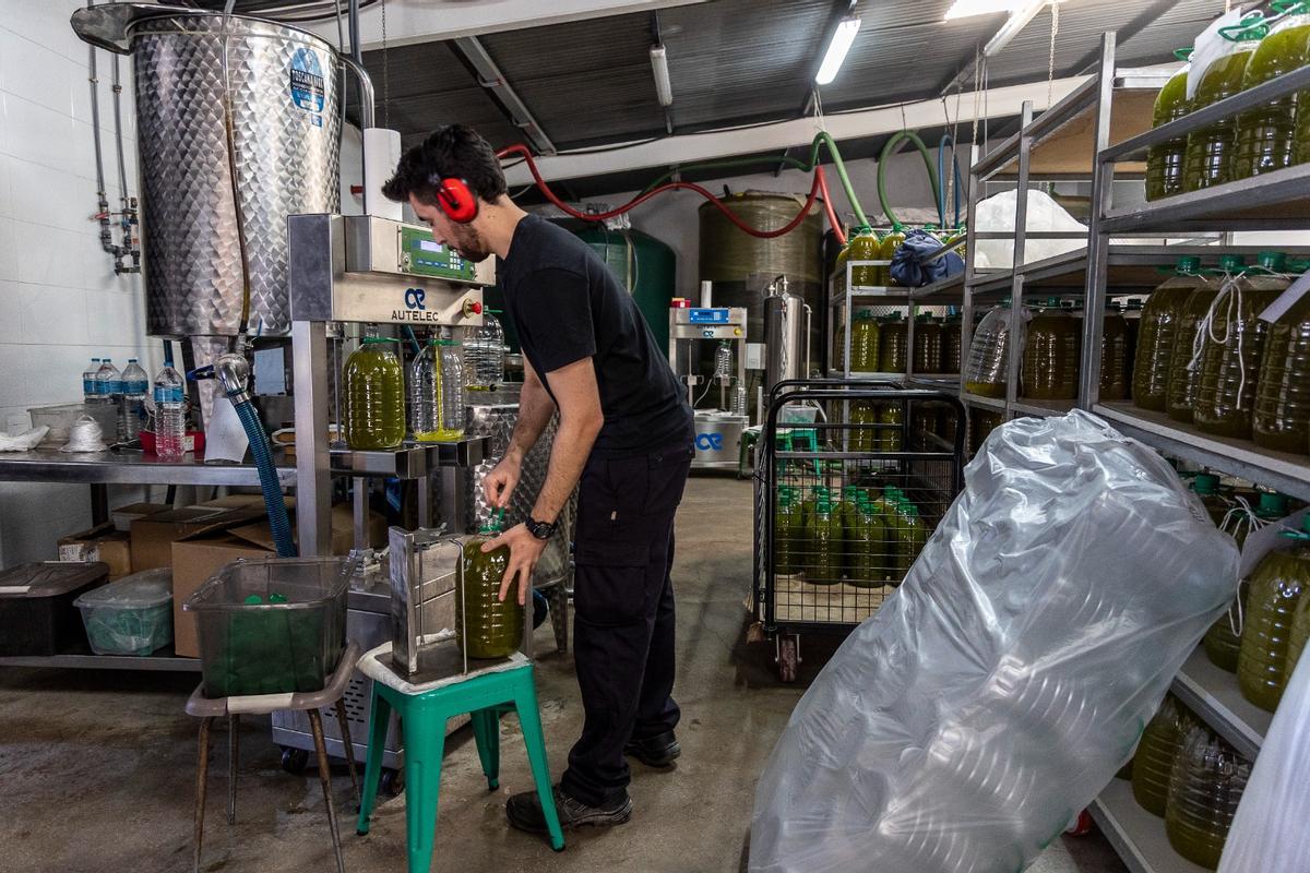 Imagen de la almazara moderna, que produce unos 100.000 litros de aceite cada campaña