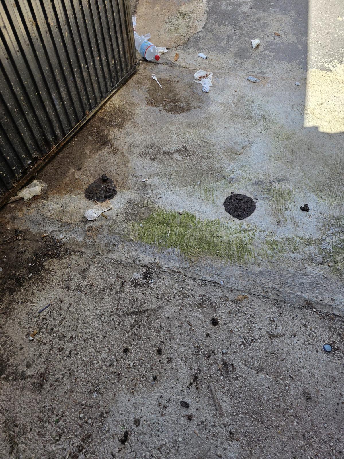 Restos fecales encontrados este lunes en la puerta 1 del José Rico Pérez.
