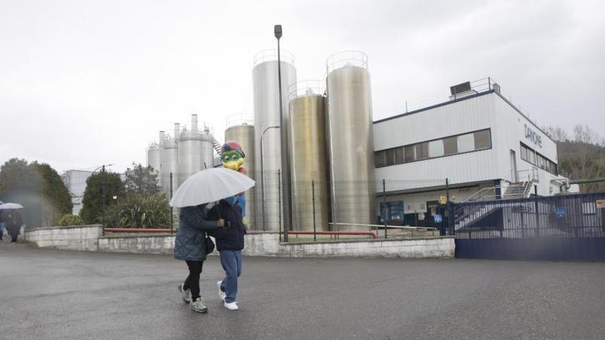 El grupo Arla estudia la compra de la fábrica de Danone en Salas