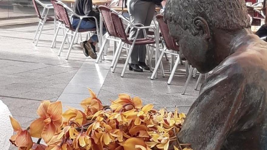 Varas de orquídeas en la fuente de Farray por San Valentín