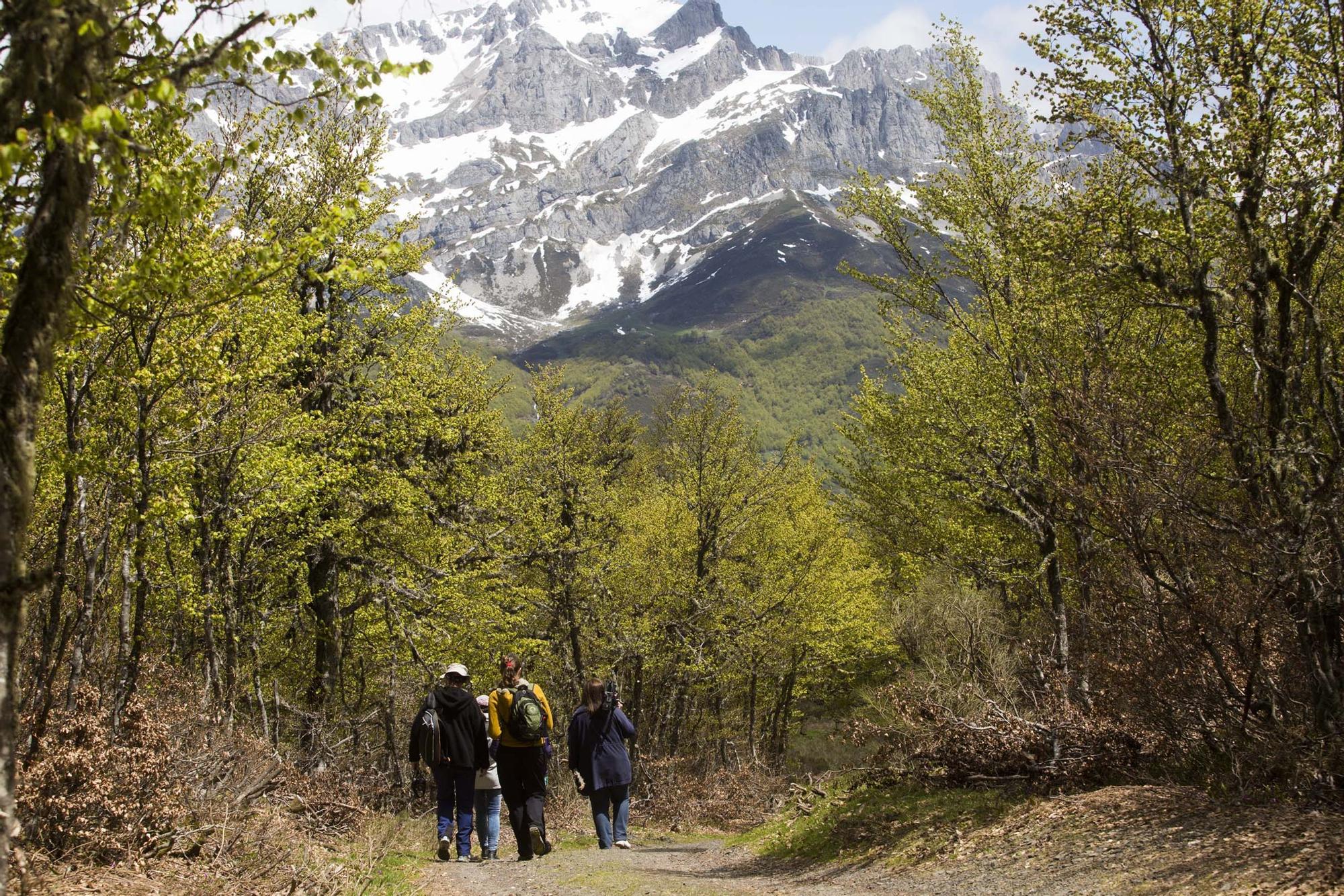 Las 100 fotos que demuestran que el otoño es la mejor época para conocer Asturias