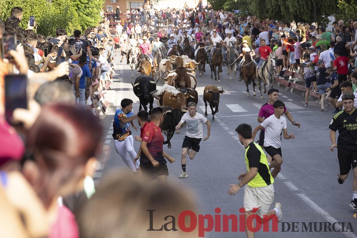 Quinto encierro de las Fiestas de Moratalla