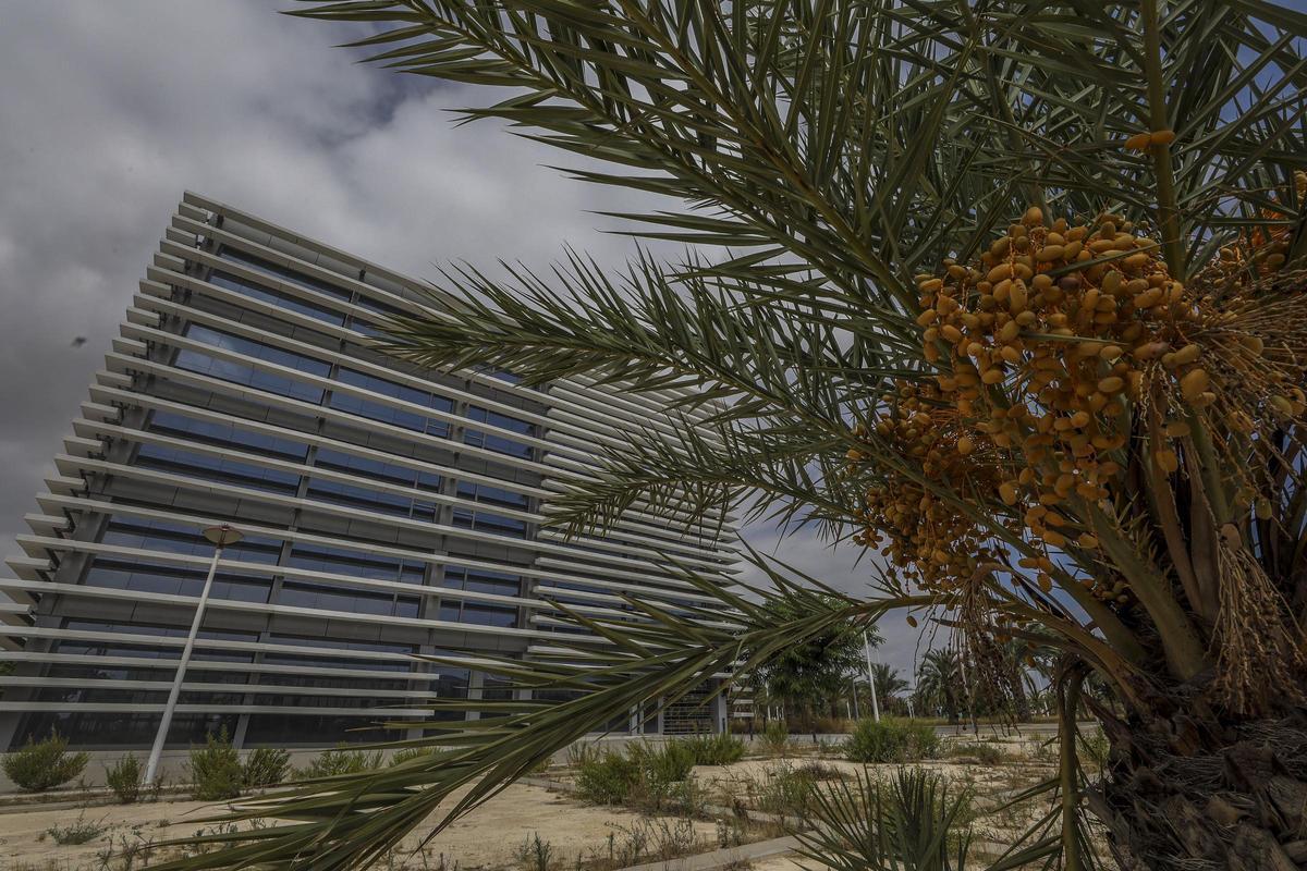 Campus tecnológico en el Parque Empresarial de Elche.