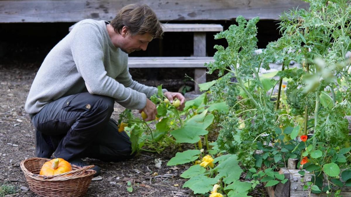 Anders Boisen dedica su tiempo a trabajar en el huerto, recoger alimentos y prepararlos para los meses de invierno.