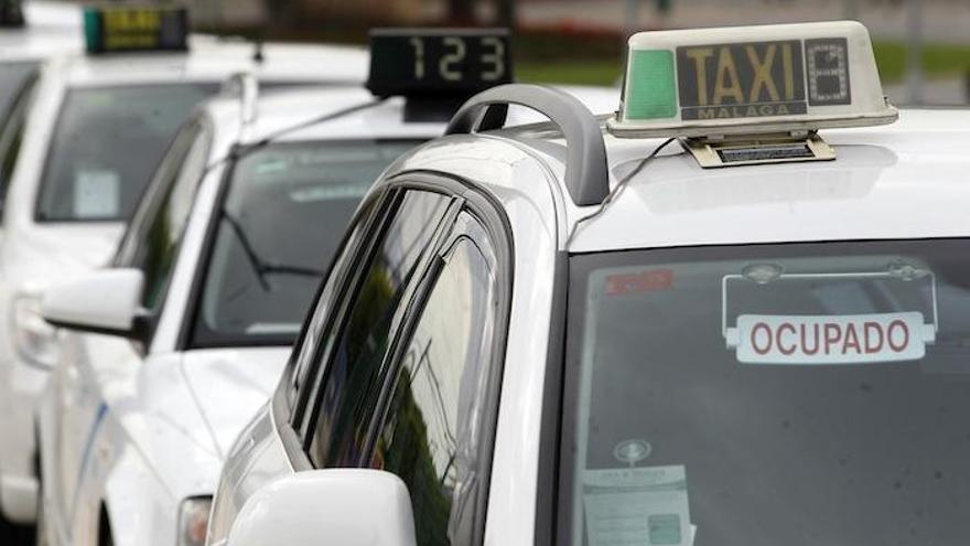 Taxis de la capital malagueña.