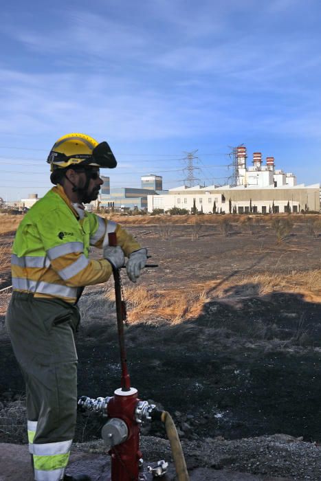 Incendio forestal en el Marjal dels Moros en Sagunt