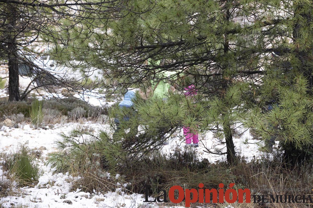 Nieve en las proximidades de Revolcadores en Moratalla