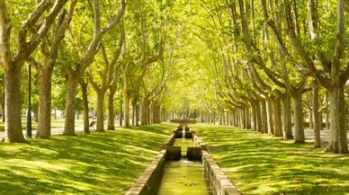 El rincón secreto de Zaragoza: un lugar para esconderse