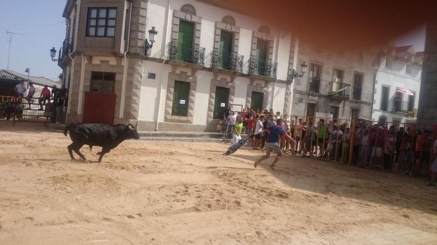 Desarrollo del encierro de Bermillo