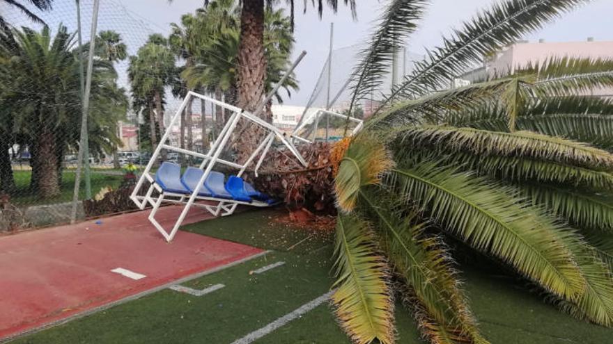 Una palmera destroza parte del campo de fútbol de Casablanca III