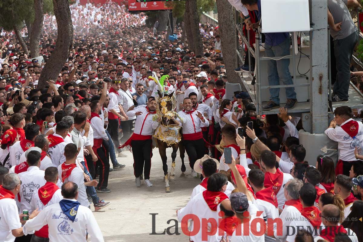 Así ha sido la carrera de los Caballos del Vino en Caravaca