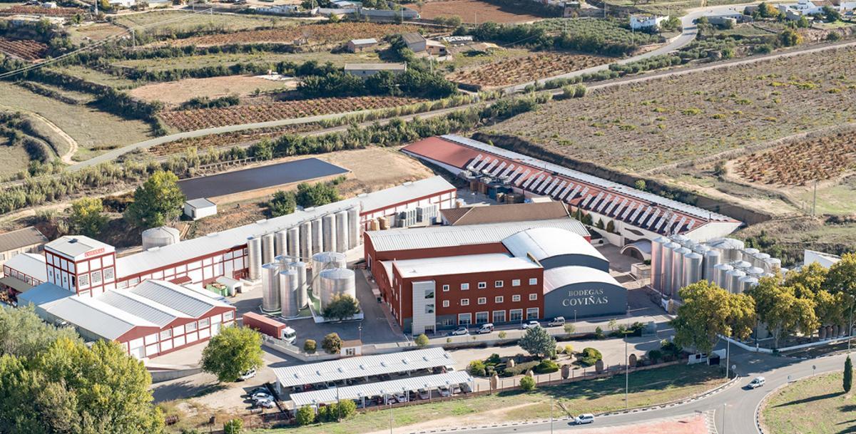 Coviñas concentra el 41 % del viñedo de la Denominación de Origen Protegida Utiel-Requena.