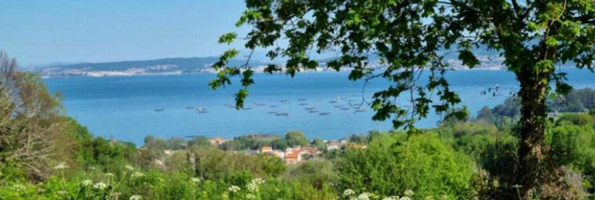 Una vista de la ría de Pontevedra desde los terrenos en los que se proyecta el campamento de cabañas de A Grela, en la parroquia de Cela, en Bueu.