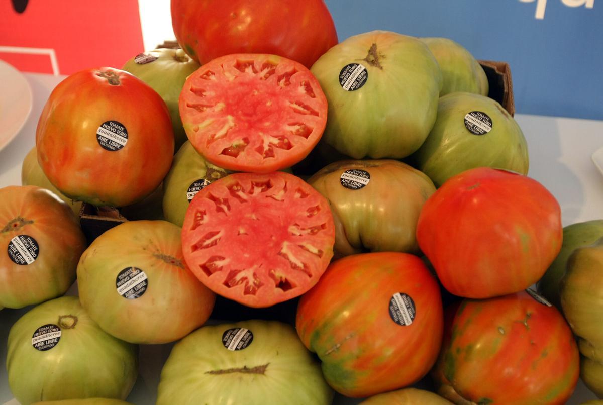 MLG.06/08/2014.- EL PIMPI. PRESENTACION DE LA RUTA GASTRONOMICA TOMATE HUEVO TORO DEL GUADALHORCE. EN LA FOTO TOMATES HUEVO TORO -ARCINIEGA