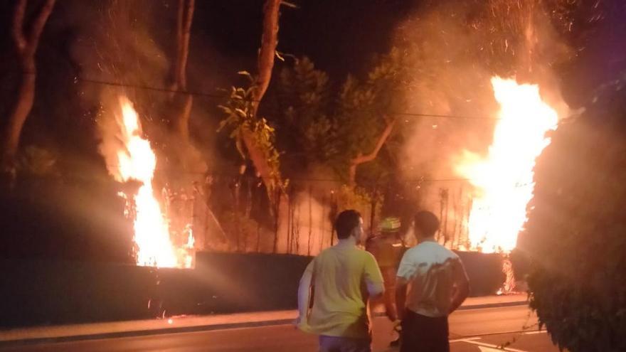 Alarma al Vedat de Torrent per un incendi