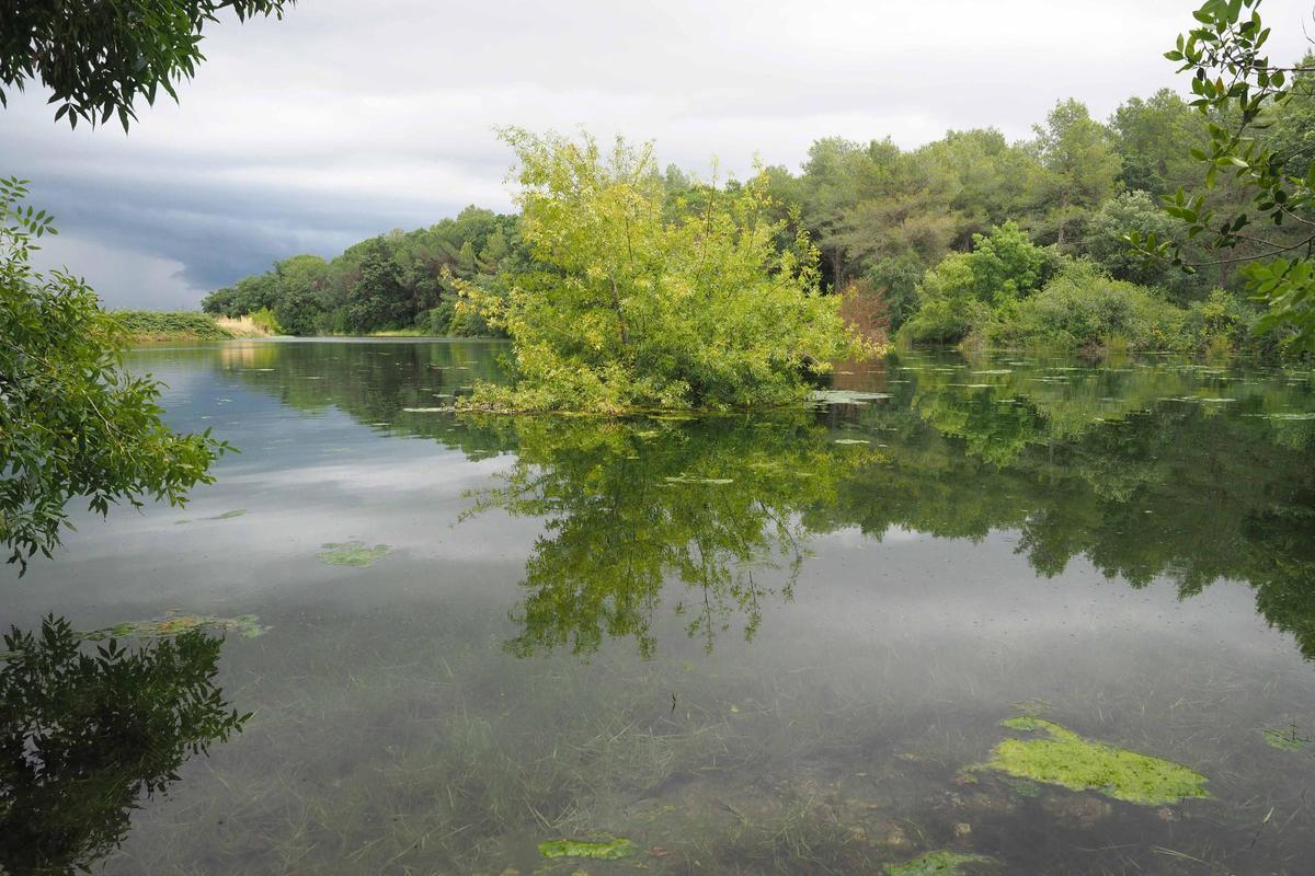 El paratge natural conegut com la platja d’Espolla.