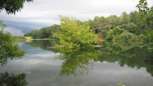 El paratge natural conegut com la platja d’Espolla.