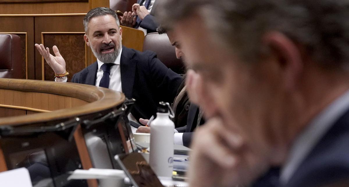 Santiago Abascal y Alberto Núñez Feijóo, en un pleno del Congreso